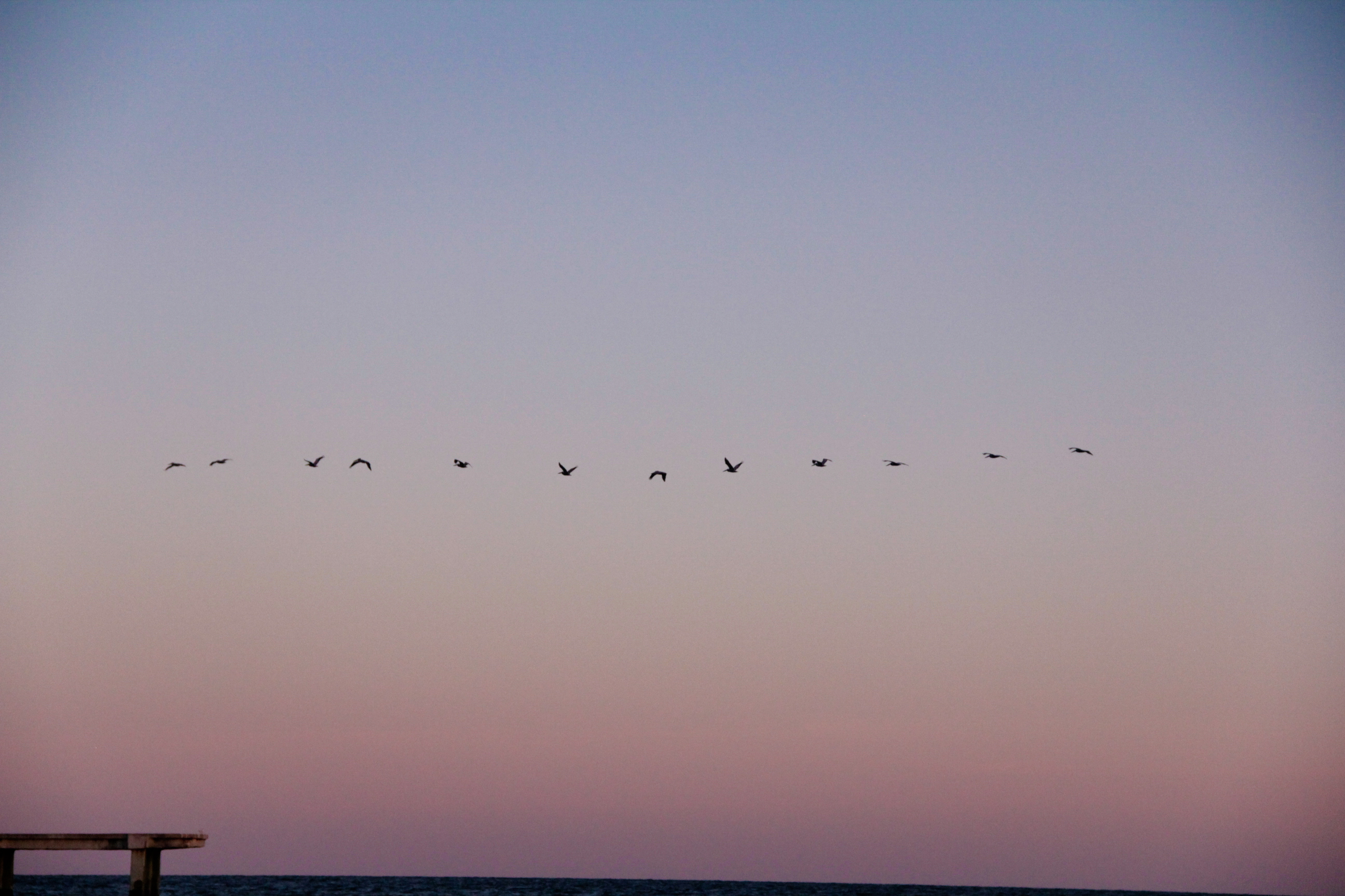 GalvestonPier_2017_4