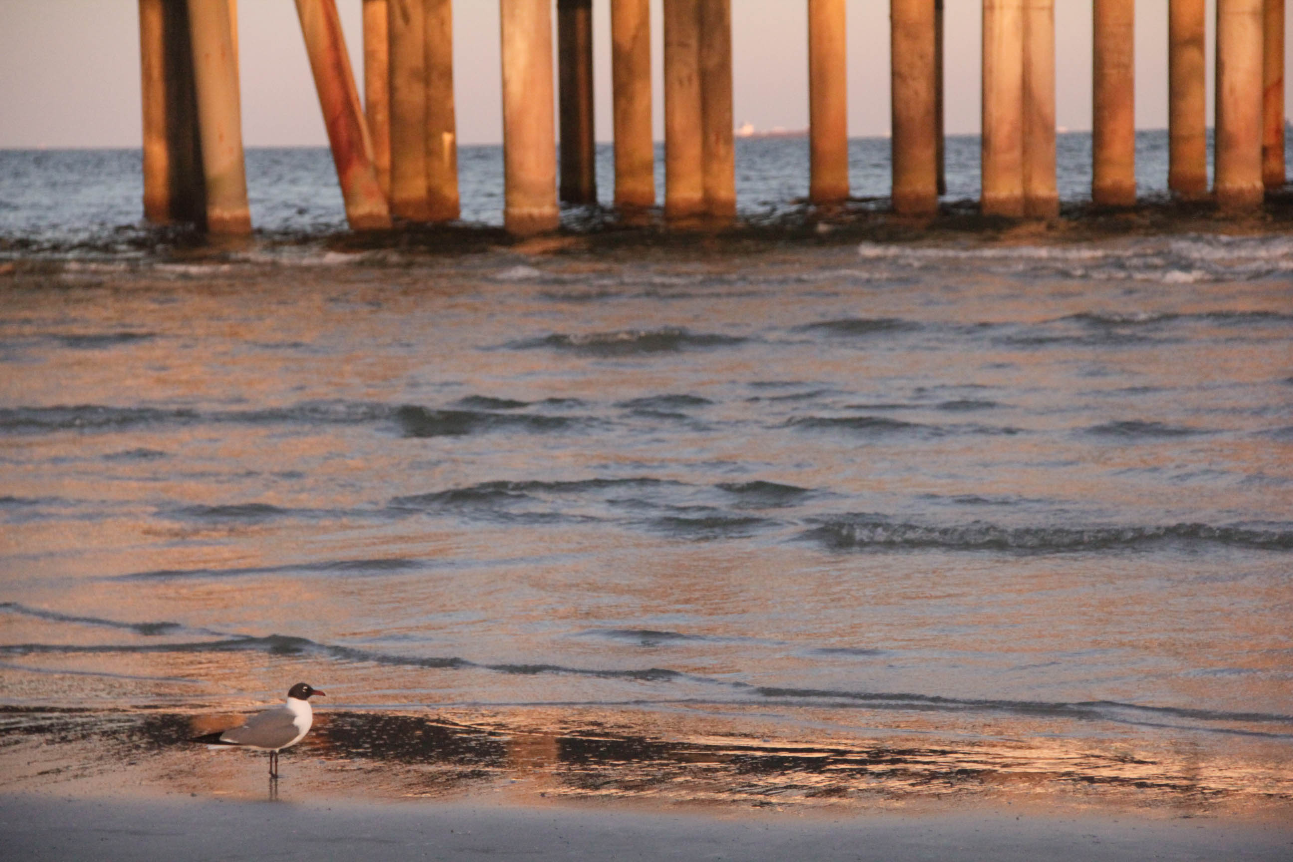 GalvestonPier_2017_6