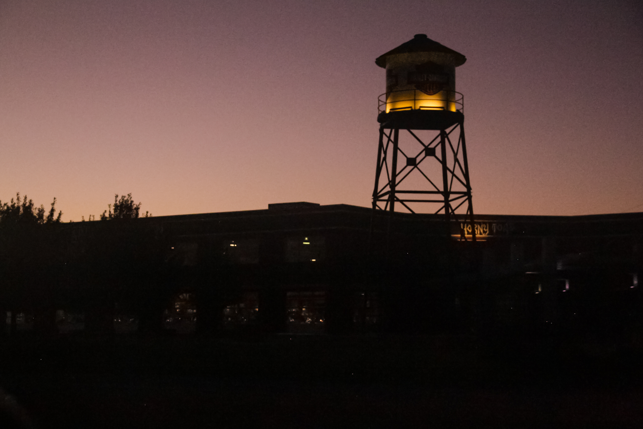 TexasLandscape_2017_1